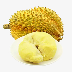 IQF Frozen Durian Pulp with seed / seedless / meat / puree from Vietnam - Frozen Durian