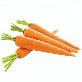 2019 New Crop Vietnam Fresh Carrot