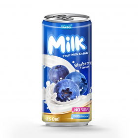 Fruit Milk Drink With Blueberry Flavor