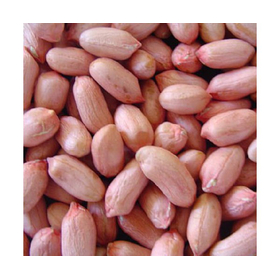 High Quality Viet Nam Peanuts With Best Price