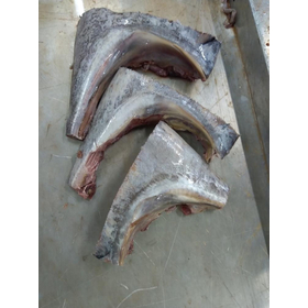 Yellowfin tuna kama frozen
