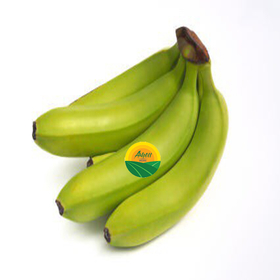 Premium quality - low price cavendish banana from viet nam