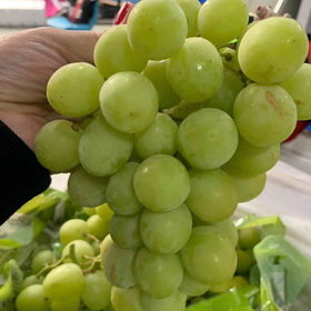 The sweet green grapes