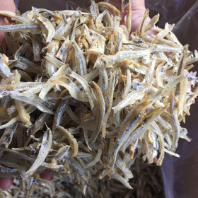 DRIED PEELED ANCHOVY FROM VIETNAM
