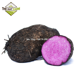 FDA Certified Quality Frozen Purple Yam best price from Vietnam