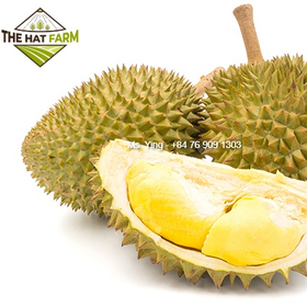 Frozen Seedless Durian