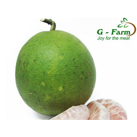 Green skin pomelo grapefruit from Vietnam