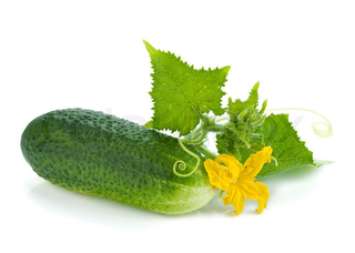 Fresh Cucumber