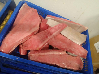 Vietnam yellow fin tuna belly with CO treatment