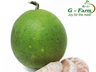 Green skin pomelo grapefruit from Vietnam