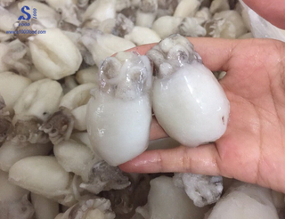 Best price for vietnamese cuttlefish