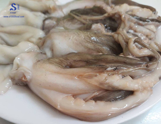 Frozen long leg octopus with high quality at the best price from Vietnam