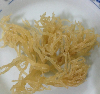 E cottoni dry seaweed from Vietnam