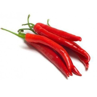 Nature red chilli hot pepper Vietnam