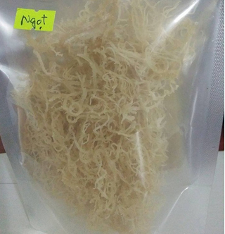 E cottoni dry seaweed from Vietnam