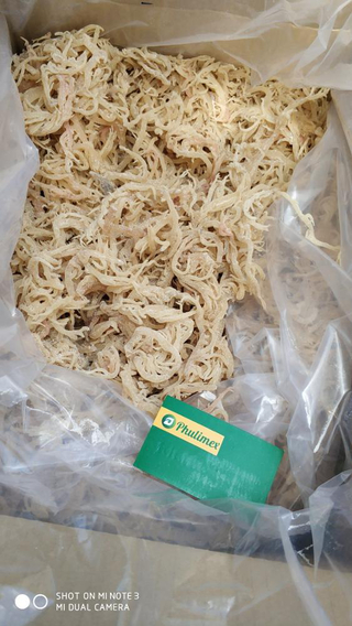 E cottoni dry seaweed from Vietnam