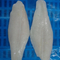 Vietnamese Frozen Pangasius Fillets Well Trimed