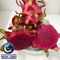 Fresh Red Dragon Fruit Vietnam